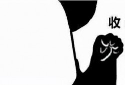 内鬼爆料抽卡视频大全最新,抽卡视频大全最新动态大起底