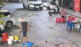 成都养猪场爆料案件最新,揭开养殖行业黑幕背后的惊人真相