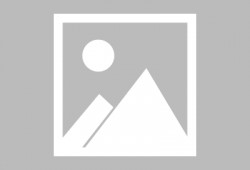 蔚蓝档案官方最新爆料