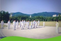 辟谷套餐爆料视频大全最新,最新爆料视频大全深度解析